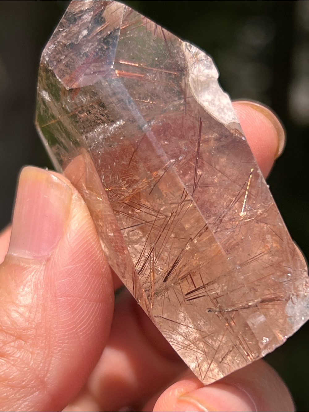 Copper (1) rutile freeform | crystal